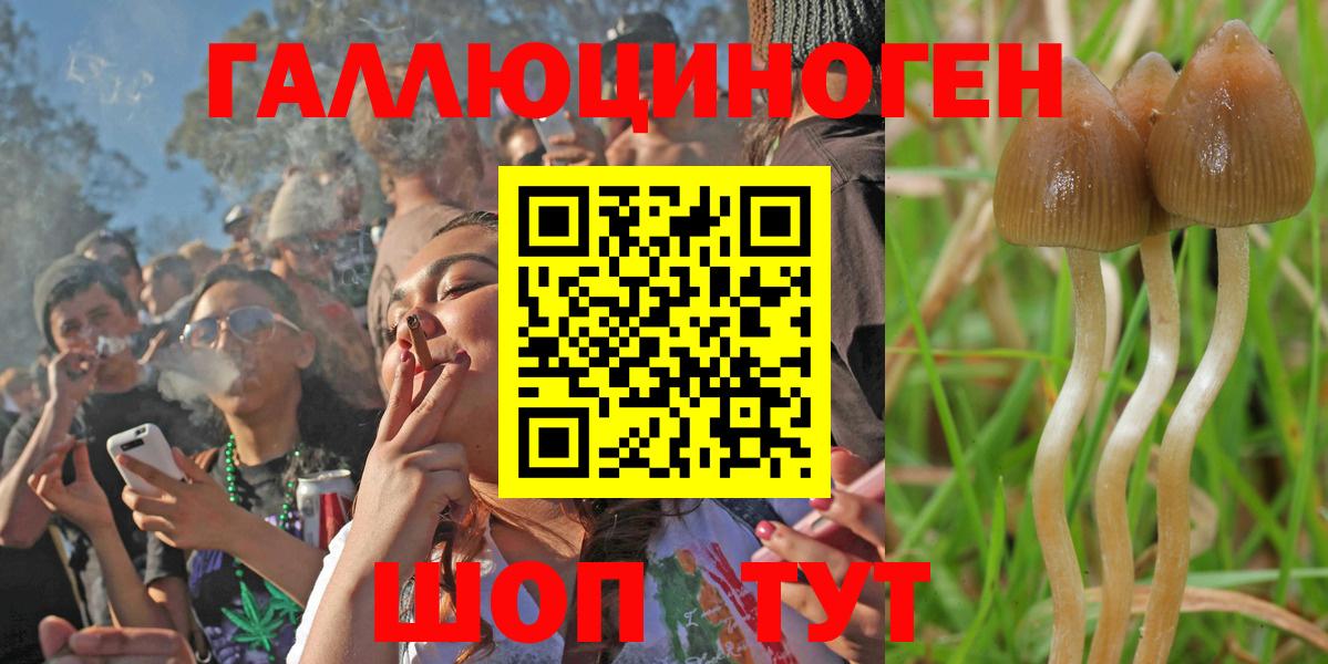 Галлюциногенные грибы Magic Shrooms Казань