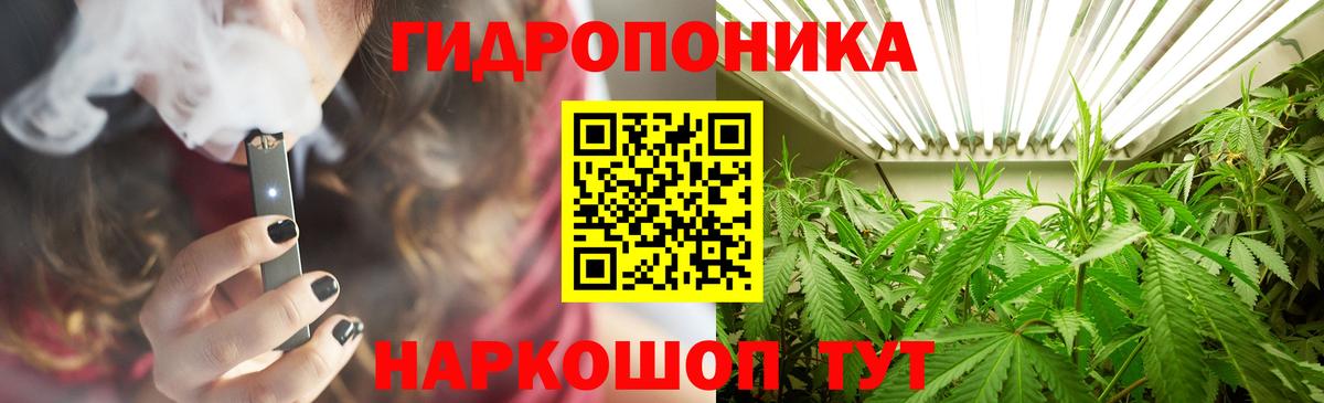 Каннабис сатива Казань